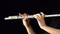 Flute Royalty Free Stock Photo