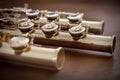 Flute/Foot Joints Royalty Free Stock Photo