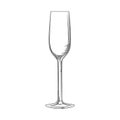 Flute glass. Hand drawn empty champagne glass sketch. Sparkling wine glass Royalty Free Stock Photo