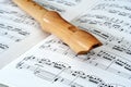 Flute & notes Royalty Free Stock Photo