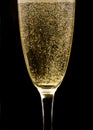 Flute with sparkling champagne