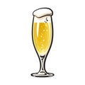 Flute style glass of beer, wine or champagne. Hand drawn vector illustration isolated on white Royalty Free Stock Photo
