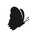 Fluttering butterfly silhouette, Butterfly vector icon
