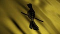 Fluttering golden flag with a mockingbird sitting on a small branch, seamless loop. Baelish house emblem, game of