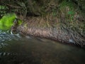 Fluvial erosion, water washed soil from willow roots and shallow rapid water stream during summer Royalty Free Stock Photo