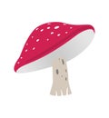 Fly agaric