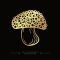 Fly agaric gold sticker. Hand drawn toadstool concept. Golden drawing of a fly agaric psilocybin mushroom. Toxic magical