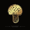 Fly agaric golden sticker. Hand drawn toadstool concept. Golden drawing of hallucinogenic mushroom. A stylized image of a