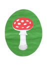 Fly-agaric on a green lawn Royalty Free Stock Photo