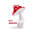 Fly agaric. Isolated vector image on white background. Card, banner, poster, sticker with mushroom. Royalty Free Stock Photo