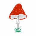 Fly agaric mushroom illustration. Colorful nature. Fungi. Idea for decors, autumn holidays, environment themes.