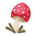 Fly agaric mushroom with red spotted cap, grass forest poisonous plant in cartoon style isolated on white background Royalty Free Stock Photo