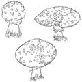 Fly agaric mushroom set