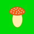 Mushroom on the green background Royalty Free Stock Photo