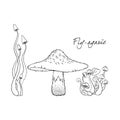 Fly agaric, non-edible poisonous forest mushrooms. Sketch. Hand