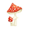 Fly agaric poisonous mushrooms cartoon vector illustration on white background