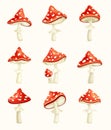 Fly agaric poisonous mushrooms set . Amanita toadstools with red spotted cap cartoon vector illustration Royalty Free Stock Photo