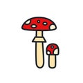 Fly agaric toadstool icon. Vector isolated linear color icon contour shape outline. Thin line. Modern glyph design