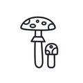 Fly agaric toadstool icon. Vector isolated linear icon contour shape outline. Thin line. Modern glyph design. Mushrooms