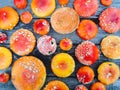 Fly agarics Royalty Free Stock Photo