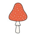 Fly amanita, agaric mushroom hand drawn Halloween illustration. Royalty Free Stock Photo