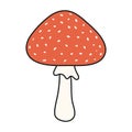 Fly amanita, agaric mushroom hand drawn Halloween illustration.