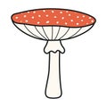 Fly amanita, agaric mushroom hand drawn Halloween illustration.