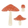 Fly aragic set, toadstool cute inedible mushrooms. Amanita muscaria. Vector illustration in cartoon style isolated on Royalty Free Stock Photo