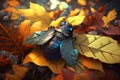 Fly on an autumn leaf. Autumn colorful illustration.
