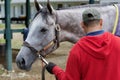 Serenity on the Backstretch with Fly Fly Away