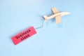 Fly business class ticket concept. Commercial airplane wooden model with red business class