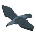 Fly crow icon isometric vector. Raven bird Royalty Free Stock Photo