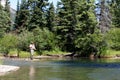 Fly Fisher on stream Royalty Free Stock Photo