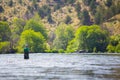 Fly Fisherman Casting on the Deschutes River Royalty Free Stock Photo