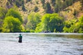 Fly Fisherman Casting on the Deschutes River Royalty Free Stock Photo