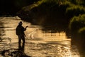 Fly Fisherman Casts Line in Shallow River Royalty Free Stock Photo