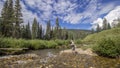 Fly Fisherman on a crystal clear Colorado Rocky mountain trout s