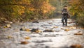 Fly fisherman on a splendid mountain river