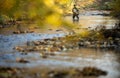 Fly fisherman holding a lovely trout while  fly fishing on a splendid mountain river Royalty Free Stock Photo