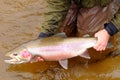 Fly fisherman holding a very large fish Royalty Free Stock Photo