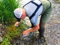 Fly Fisherman With Native Rainbow Trout Royalty Free Stock Photo