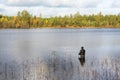 Fly fisherman standing in lake and fishing