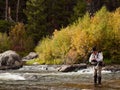 Fly Fisherman Royalty Free Stock Photo