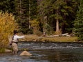 Fly Fisherman