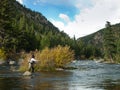 Fly Fisherman Royalty Free Stock Photo