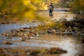 Handsome fly fisherman  fly fishing on a splendid mountain river for rainbow trout Royalty Free Stock Photo