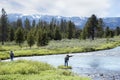 Fly Fishing Royalty Free Stock Photo