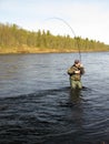 Fly fishing Royalty Free Stock Photo