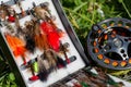 Fly fishing bugs and road with real Royalty Free Stock Photo