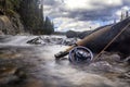 Fly Fishing in the Rocky Mountains with Dry Flies for Trout Royalty Free Stock Photo